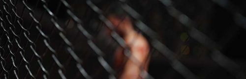 What Fight Metrics Matter in Florida UFC Sportsbook Betting?