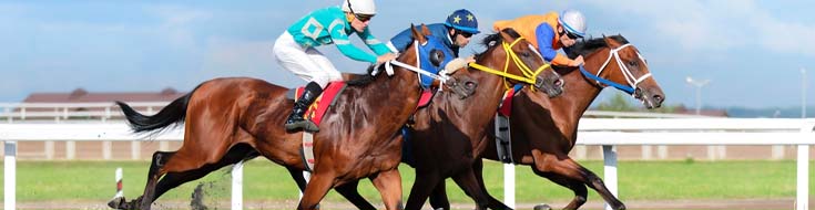 Betting the Travers Stakes: Triple Crown’s Alternative