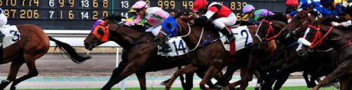 Jockey Club Gold Cup: End-of-Season Sportsbook Strategies