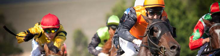 Whitney Stakes: Million-Dollar Horse Racing Wagering Guide