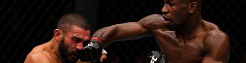 Pitbull Meets Keita: Debut Drama and Veteran Danger in UFC Paris