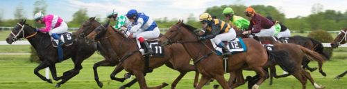 Summer Stakes Fallout: Horse Racing Insights for the Fall Season