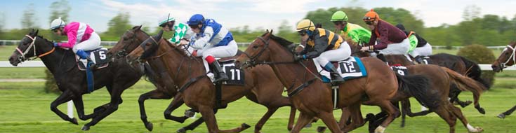 Summer Stakes Fallout: Horse Racing Insights for the Fall Season