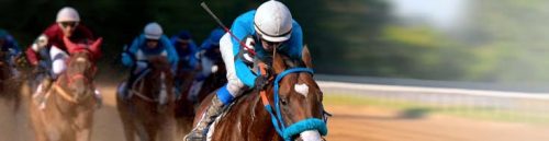 2025 Breeders’ Cup Betting Breakdown: Who’s Got the Edge?