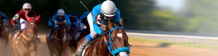 2025 Breeders’ Cup Betting Breakdown: Who’s Got the Edge?