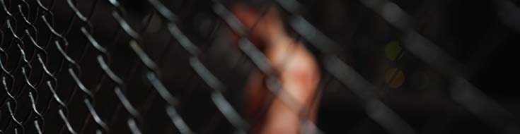 UFC Fight Night 265: High-Risk, High-Reward Bouts Set to Shake Up the Rankings