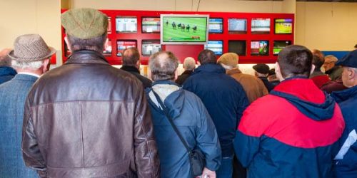 Human Handicapping vs. Statistical Handicapping: Understanding When Expert Insight Beats Pure Numbers