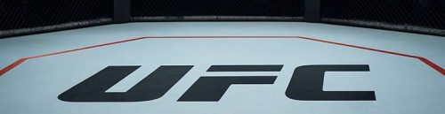 Betting Lines Strong on UFC 324 — Live Odds & Game Action