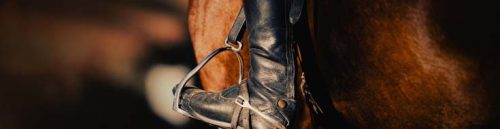 Constitution Hill Injury Update Shakes Elite Horse Racing