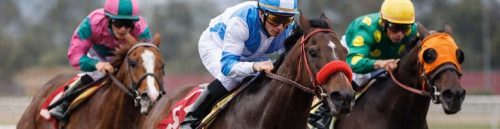 Horse Racing Shock: Jockey Fatality Sends Betting Markets Reeling