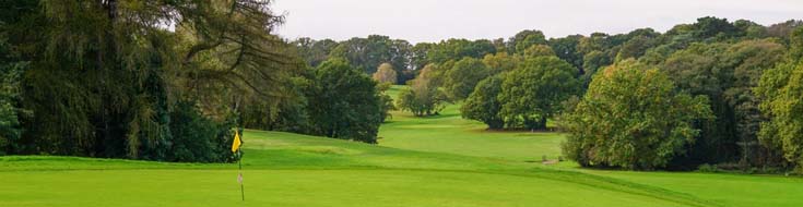 Golf Betting Preview: Sony Open Stakes Rise as Taylor Seeks Historic Back-to-Back Win