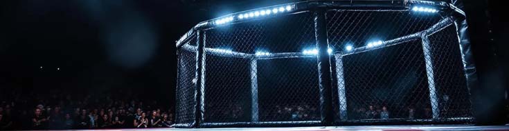 UFC Fight Night 267: Strickland vs Hernandez — Must-Watch Breakdown & Betting Insight