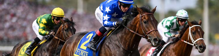Fountain of Youth Stakes Preview: Derby Clues and Betting Value