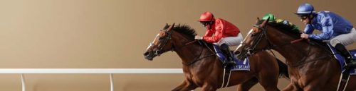 Gotham Stakes: Critical 2026 Kentucky Derby Prep Analysis & Insights