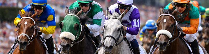 Tampa Bay Derby Analysis: Key Insights Before the Derby Trail