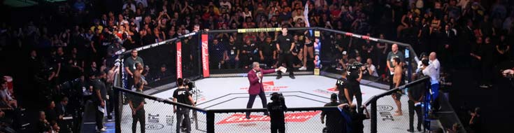 UFC Fight Night 271 Breakdown: Key Fights, Odds, Insights