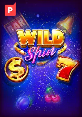 Play Wild Spin Casino Game