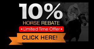10% Horse Rebate 
