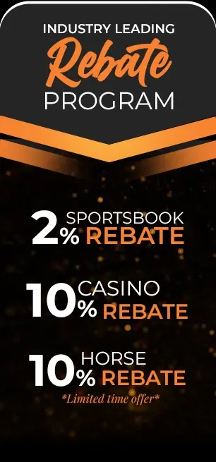 Rebate Program Bonus